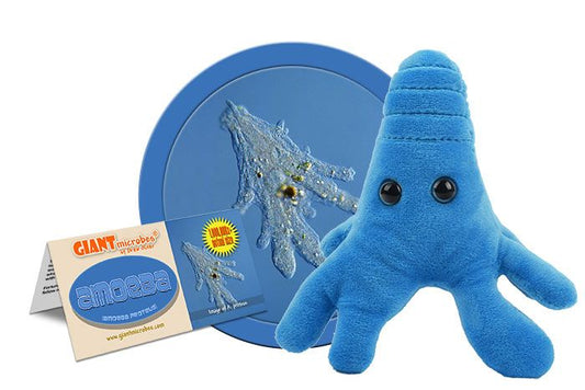 Amoeba Plush