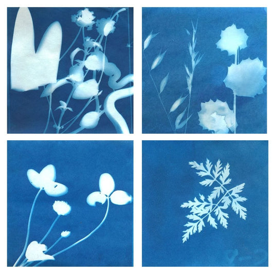 Sunprint Kit
